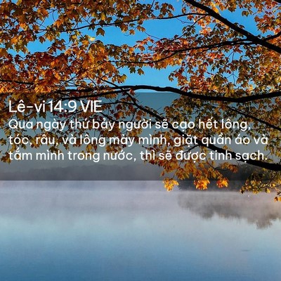 Picture 02 - Lê-vi 14:9 VIE - Qua ngày thứ bảy người sẽ cạo hết - Bible Verse Picture
