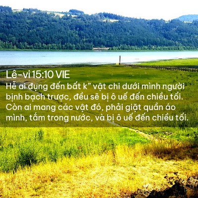 Picture 02 - Lê-vi 15:10 VIE - Hễ ai đụng đến bất k” vật chi - Bible Verse Picture