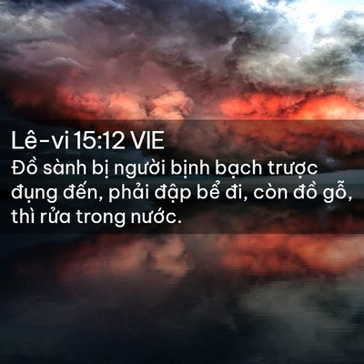 Picture 02 - Lê-vi 15:12 VIE - Đồ sành bị người bịnh bạch trược - Bible Verse Picture