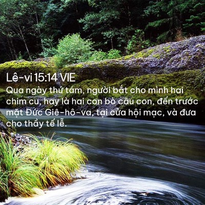 Picture 02 - Lê-vi 15:14 VIE - Qua ngày thứ tám, người bắt cho mình - Bible Verse Picture