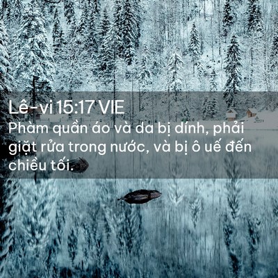 Picture 02 - Lê-vi 15:17 VIE - Phàm quần áo và da bị dính, phải giặt - Bible Verse Picture
