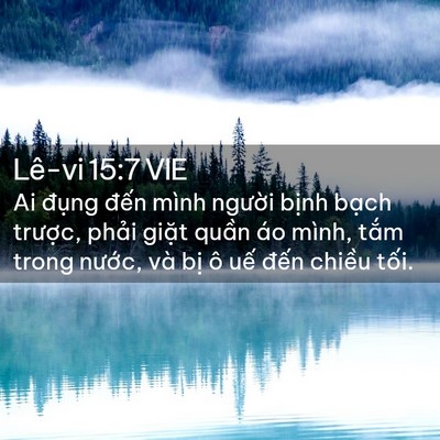 Picture 02 - Lê-vi 15:7 VIE - Ai đụng đến mình người bịnh bạch - Bible Verse Picture