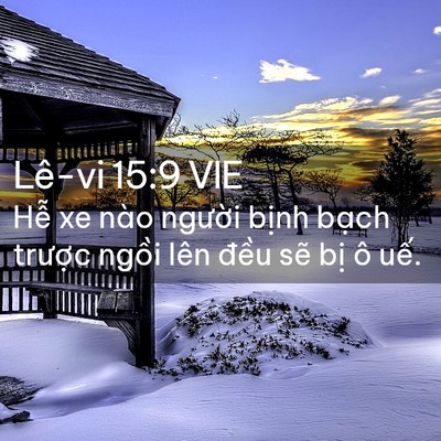 Picture 02 - Lê-vi 15:9 VIE - Hễ xe nào người bịnh bạch trược - Bible Verse Picture
