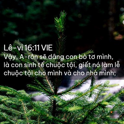 Picture 02 - Lê-vi 16:11 VIE - Vậy, A-rôn sẽ dâng con bò tơ mình, là - Bible Verse Picture