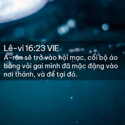 Picture 02 - Lê-vi 16:23 VIE - A-rôn sẽ trở vào hội mạc, cổi bộ - Bible Verse Picture