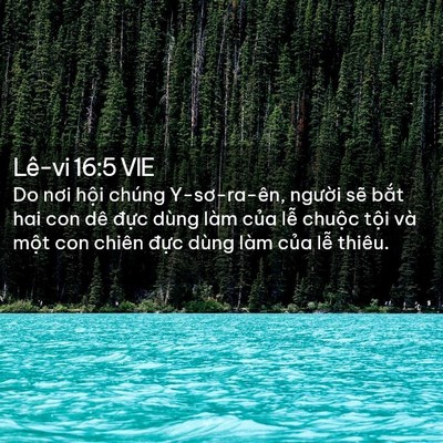 Picture 02 - Lê-vi 16:5 VIE - Do nơi hội chúng Y-sơ-ra-ên, người sẽ - Bible Verse Picture