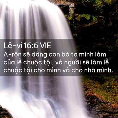 Picture 02 - Lê-vi 16:6 VIE - A-rôn sẽ dâng con bò tơ mình làm của - Bible Verse Picture