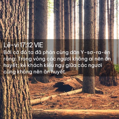 Picture 02 - Lê-vi 17:12 VIE - Bởi cớ đó ta đã phán cùng dân - Bible Verse Picture