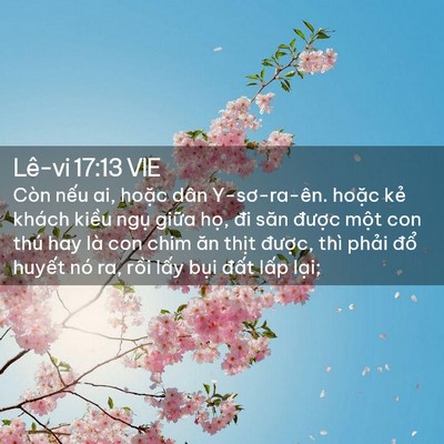 Picture 02 - Lê-vi 17:13 VIE - Còn nếu ai, hoặc dân Y-sơ-ra-ên. hoặc - Bible Verse Picture