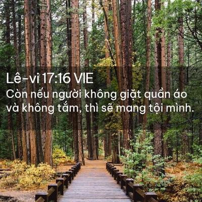 Picture 02 - Lê-vi 17:16 VIE - Còn nếu người không giặt quần áo và - Bible Verse Picture