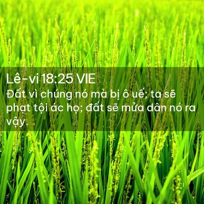 Picture 02 - Lê-vi 18:25 VIE - Đất vì chúng nó mà bị ô uế; ta sẽ - Bible Verse Picture