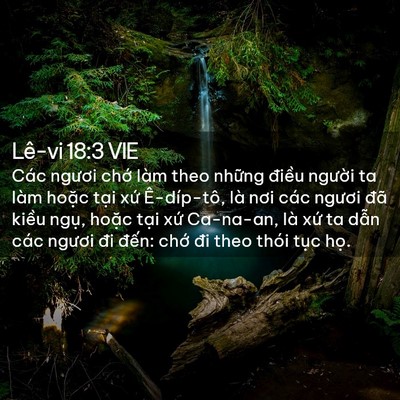 Picture 02 - Lê-vi 18:3 VIE - Các ngươi chớ làm theo những điều - Bible Verse Picture