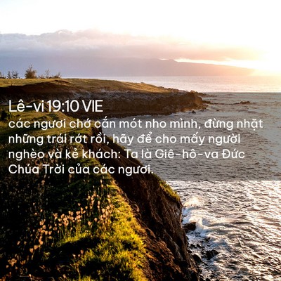 Picture 02 - Lê-vi 19:10 VIE - các ngươi chớ cắn mót nho mình, đừng - Bible Verse Picture