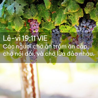 Picture 02 - Lê-vi 19:11 VIE - Các ngươi chớ ăn trộm ăn cắp, chớ - Bible Verse Picture
