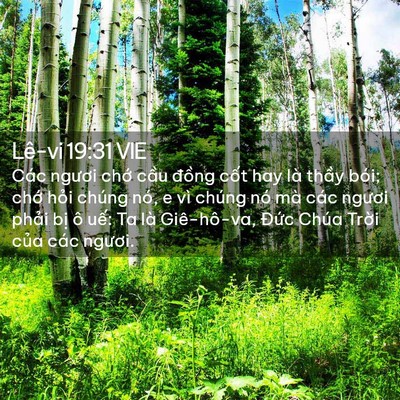 Picture 02 - Lê-vi 19:31 VIE - Các ngươi chớ cầu đồng cốt hay là - Bible Verse Picture