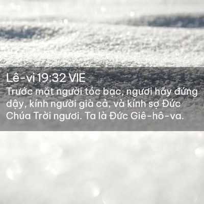 Picture 02 - Lê-vi 19:32 VIE - Trước mặt người tóc bạc, ngươi hãy - Bible Verse Picture
