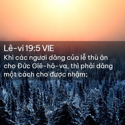 Picture 02 - Lê-vi 19:5 VIE - Khi các ngươi dâng của lễ thù ân cho - Bible Verse Picture