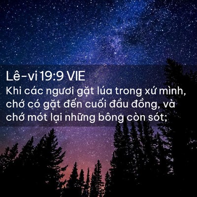 Picture 02 - Lê-vi 19:9 VIE - Khi các ngươi gặt lúa trong xứ mình, - Bible Verse Picture