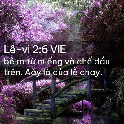 Picture 02 - Lê-vi 2:6 VIE - bẻ ra từ miếng và chế dầu trên. Aáy - Bible Verse Picture