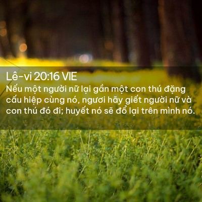 Picture 02 - Lê-vi 20:16 VIE - Nếu một người nữ lại gần một con - Bible Verse Picture