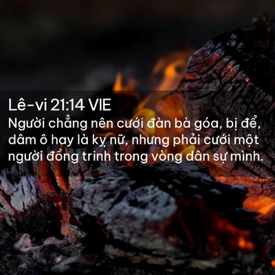 Picture 02 - Lê-vi 21:14 VIE - Người chẳng nên cưới đàn bà góa, - Bible Verse Picture
