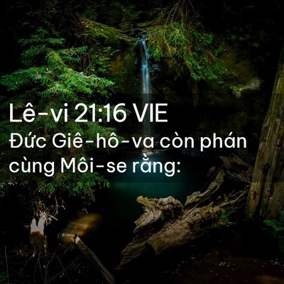 Picture 02 - Lê-vi 21:16 VIE - Đức Giê-hô-va còn phán cùng Môi-se - Bible Verse Picture