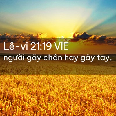 Picture 02 - Lê-vi 21:19 VIE - người gãy chân hay gãy - Bible Verse Picture