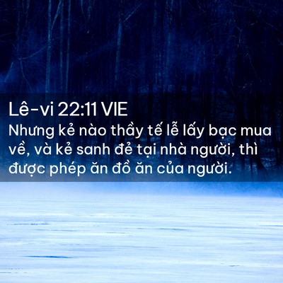 Picture 02 - Lê-vi 22:11 VIE - Nhưng kẻ nào thầy tế lễ lấy bạc mua - Bible Verse Picture