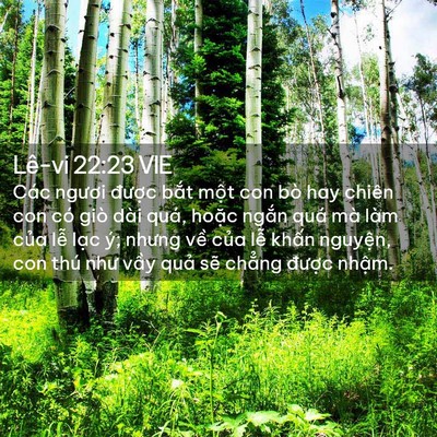 Picture 02 - Lê-vi 22:23 VIE - Các ngươi được bắt một con bò hay - Bible Verse Picture
