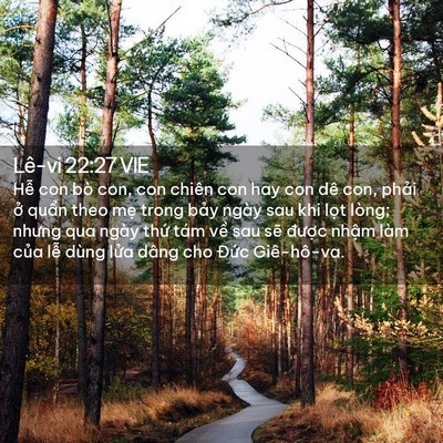 Picture 02 - Lê-vi 22:27 VIE - Hễ con bò con, con chiên con hay con dê con, - Bible Verse Picture