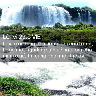 Picture 02 - Lê-vi 22:5 VIE - hay là ai đụng đến hoặc loài côn - Bible Verse Picture