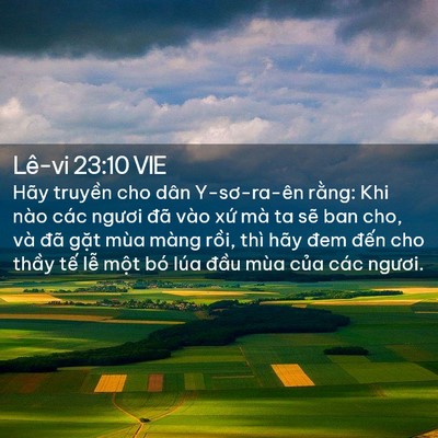 Picture 02 - Lê-vi 23:10 VIE - Hãy truyền cho dân Y-sơ-ra-ên rằng: Khi - Bible Verse Picture