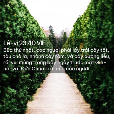 Picture 02 - Lê-vi 23:40 VIE - Bữa thứ nhất, các ngươi phải lấy - Bible Verse Picture