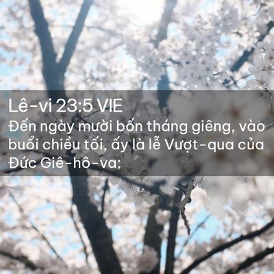 Picture 02 - Lê-vi 23:5 VIE - Đến ngày mười bốn tháng giêng, vào - Bible Verse Picture