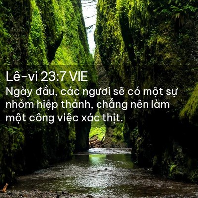 Picture 02 - Lê-vi 23:7 VIE - Ngày đầu, các ngươi sẽ có một sự - Bible Verse Picture