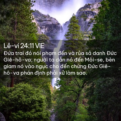 Picture 02 - Lê-vi 24:11 VIE - Đứa trai đó nói phạm đến và rủa - Bible Verse Picture