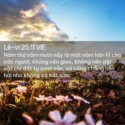 Picture 02 - Lê-vi 25:11 VIE - Năm thứ năm mươi nầy là một năm hân - Bible Verse Picture