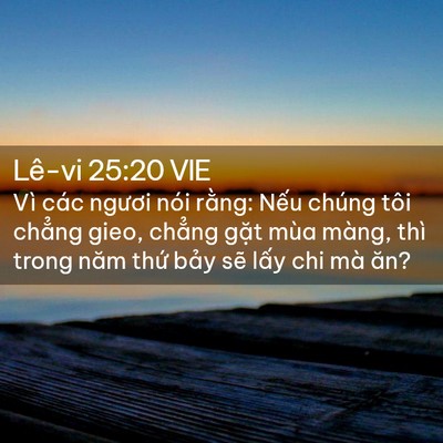 Picture 02 - Lê-vi 25:20 VIE - Vì các ngươi nói rằng: Nếu chúng tôi - Bible Verse Picture
