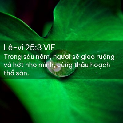 Picture 02 - Lê-vi 25:3 VIE - Trong sáu năm, ngươi sẽ gieo ruộng và - Bible Verse Picture