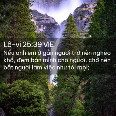 Picture 02 - Lê-vi 25:39 VIE - Nếu anh em ở gần ngươi trở nên nghèo - Bible Verse Picture
