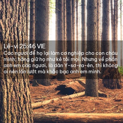 Picture 02 - Lê-vi 25:46 VIE - Các ngươi để họ lại làm cơ nghiệp - Bible Verse Picture
