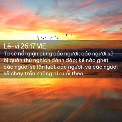 Picture 02 - Lê-vi 26:17 VIE - Ta sẽ nổi giận cùng các ngươi; các - Bible Verse Picture