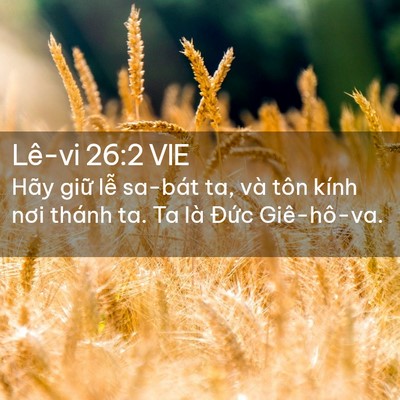 Picture 02 - Lê-vi 26:2 VIE - Hãy giữ lễ sa-bát ta, và tôn kính nơi - Bible Verse Picture