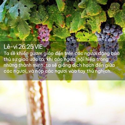 Picture 02 - Lê-vi 26:25 VIE - Ta sẽ khiến gươm giáo đến trên các - Bible Verse Picture