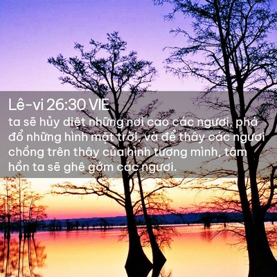 Picture 02 - Lê-vi 26:30 VIE - ta sẽ hủy diệt những nơi cao các - Bible Verse Picture