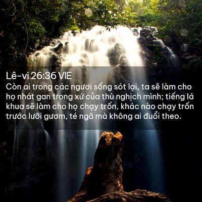 Picture 02 - Lê-vi 26:36 VIE - Còn ai trong các ngươi sống sót lại, ta - Bible Verse Picture