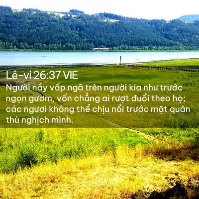 Picture 02 - Lê-vi 26:37 VIE - Người nầy vấp ngã trên người kia như - Bible Verse Picture