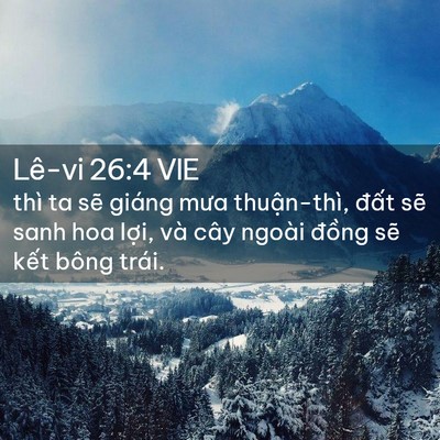 Picture 02 - Lê-vi 26:4 VIE - thì ta sẽ giáng mưa thuận-thì, đất - Bible Verse Picture