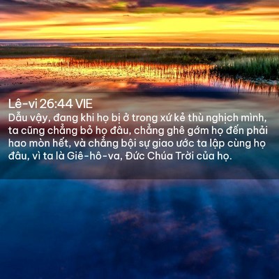 Picture 02 - Lê-vi 26:44 VIE - Dẫu vậy, đang khi họ bị ở trong xứ - Bible Verse Picture