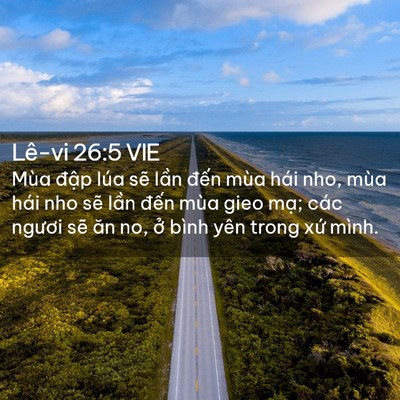 Picture 02 - Lê-vi 26:5 VIE - Mùa đập lúa sẽ lần đến mùa hái nho, - Bible Verse Picture